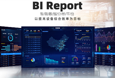 Bl Report